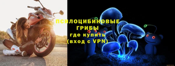 шишки Абаза