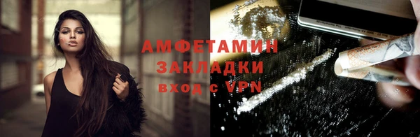 шишки Абаза