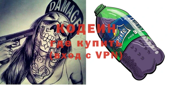 шишки Абаза