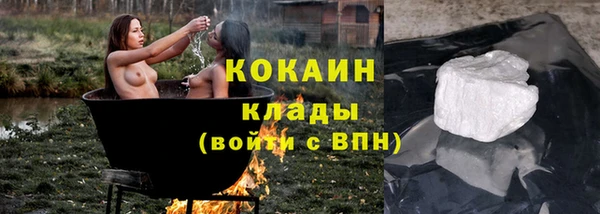 шишки Абаза