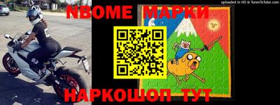 гашик Моздок