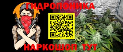 гашик Моздок