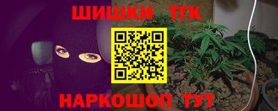 гашик Моздок