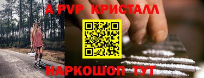 гашик Моздок