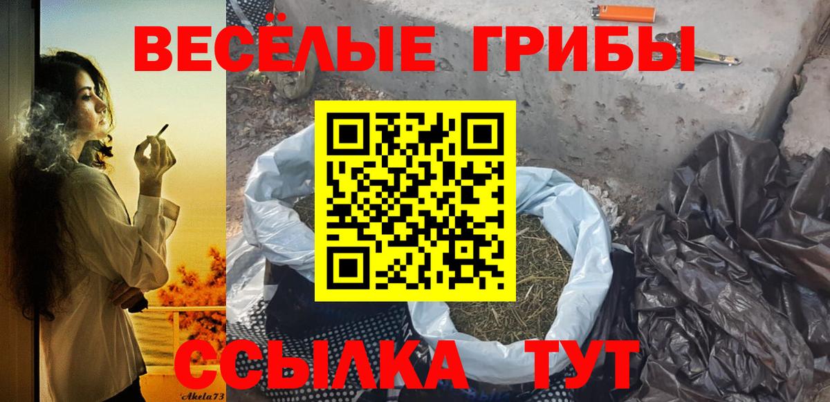 Хабаровск  Псилоцибиновые грибы Psilocybe  Вход с VPN 